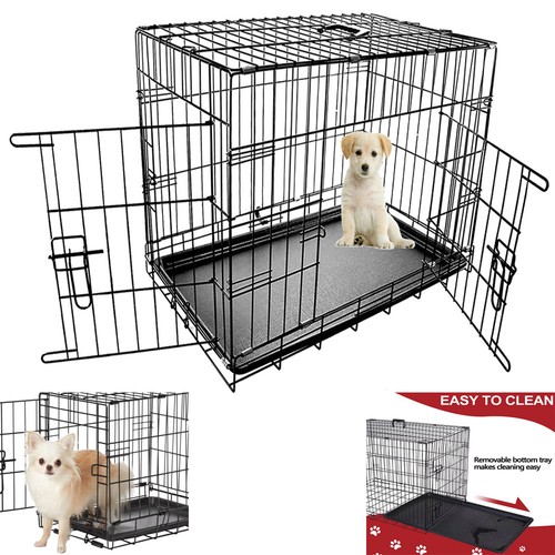 Dog pet training - pet, transport