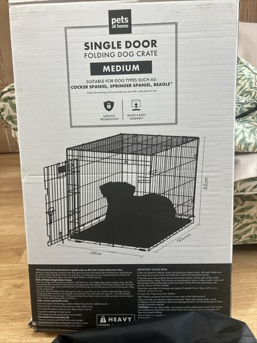 Pets home dog - pets, at