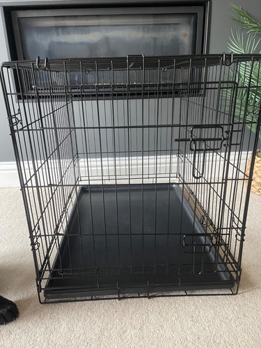 Black single door - door, dog