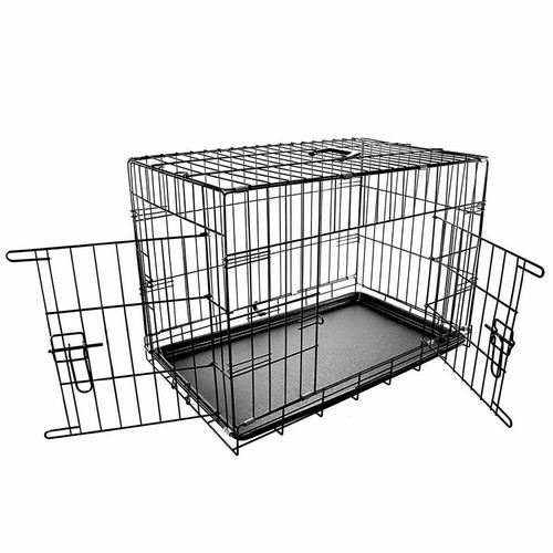 Dog pet training transport - training,