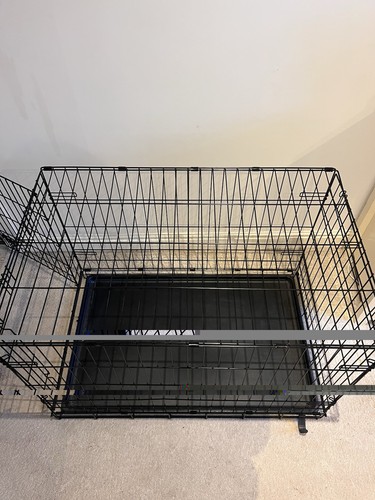 Pets home dog - pets, at