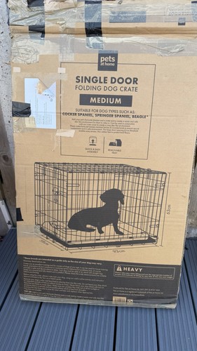 Pets home dog - pets, medium